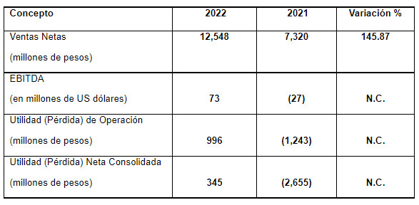 La empresa siderúrgica AHMSA, el único proveedor mexicano de placa en hoja, hojalata y lámina cromada, enfrenta importante riesgos relativos a la marcha de su negocio.