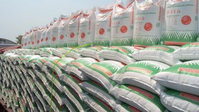 Pemex registró un incremento de 54.3% interanual en su producción de fertilizantes en 2021, a 646,500 toneladas. Pemex registered an increase of 54.3% year-on-year in its fertilizer production in 2021, to 646,500 tons.
