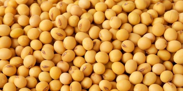 Entre los mayores exportadores de soya del mundo en 2021 destacaron en las seis primeras posiciones países de América. Among the largest soybean exporters in the world in 2021, countries from the Americas stood out in the top six positions.