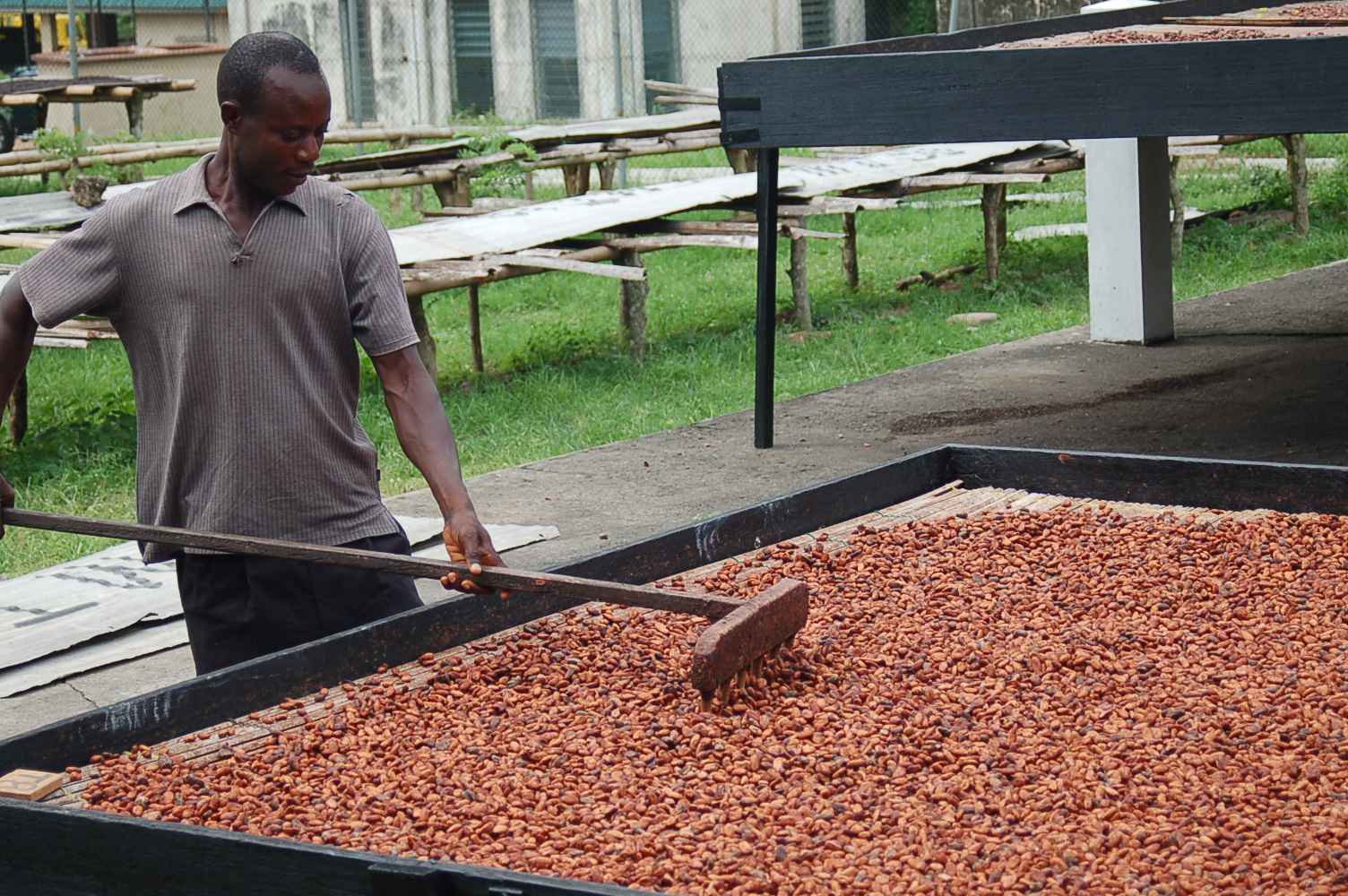 Los dos mayores exportadores de cacao del mundo -Ghana y Côte d'Ivoire- están trabajando juntos. The world's two largest cocoa exporters - Ghana and Côte d'Ivoire - are working together.