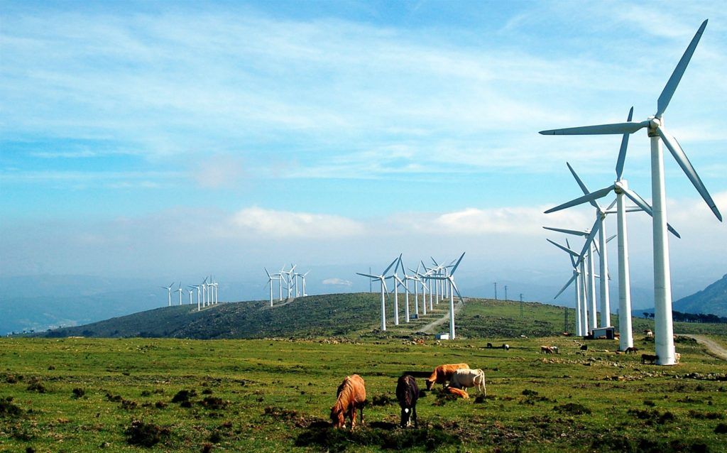 La SHCP una capitalización al Fondo Sostenible Nafin (FSN) de alrededor de 46 millones de dólares. The SHCP a capitalization to the Nafin Sustainable Fund (FSN) of around 46 million dollars.