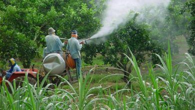 China, India y Estados Unidos fueron los mayores consumidores de fertilizantes nitrogenados en el mundo en 2021. China, India and the United States were the largest consumers of nitrogen fertilizer in the world in 2021.
