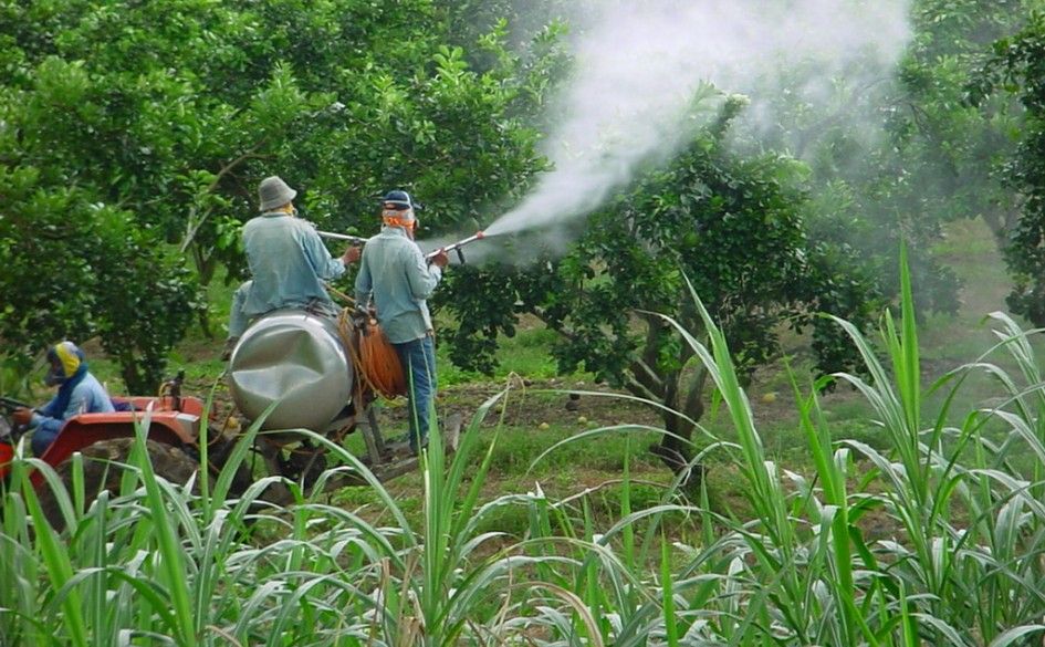 China, India y Estados Unidos fueron los mayores consumidores de fertilizantes nitrogenados en el mundo en 2021. China, India and the United States were the largest consumers of nitrogen fertilizer in the world in 2021.