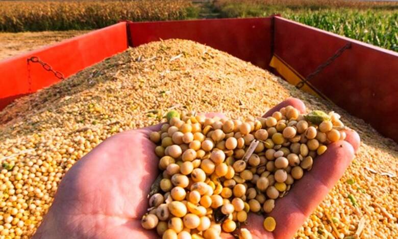 Importaciones a Tailandia: café, maíz, soya y azúcar. Imports to Thailand: coffee, corn, soybeans and sugar. Importations en Thaïlande : café, maïs, soja et sucre. Importações para a Tailândia: café, milho, soja e açúcar.