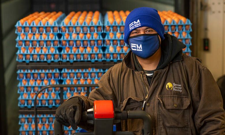 Cal-Maine Foods se ubicó como el mayor productor de huevos en Estados Unidos. Cal-Maine Foods ranked as the largest egg producer in the United States