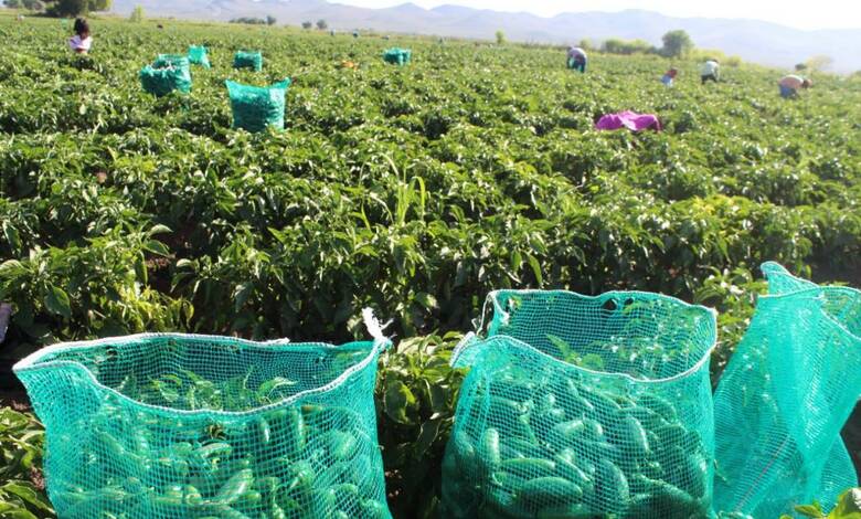 Chihuahua lideró las exportaciones de productos de México en el segundo trimestre de 2022. Chihuahua led Mexico's product exports in the second quarter of 2022.