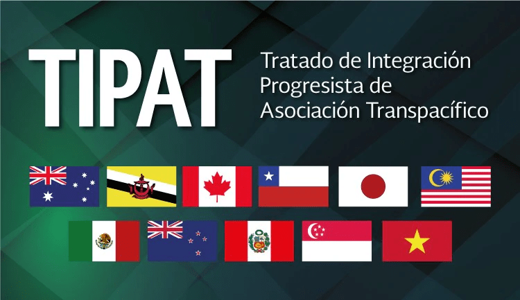 El TIPAT contiene numerosas disciplinas específicas sobre la industria automotriz a lo largo de sus capítulos. TIPAT contains numerous automotive-specific disciplines throughout its chapters.