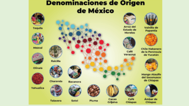 México tiene registrados 18 productos como denominaciones de origen (DO) y tres como indicaciones geográficas (IG). Mexico has 18 products registered as designations of origin (DO) and three as geographical indications (GI).
