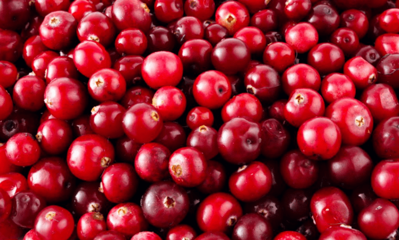 Perú lidera exportaciones de arándanos rojos en el mundo. Peru leads cranberry exports in the world. Le Pérou est en tête des exportations de canneberges dans le monde. O Peru lidera as exportações de cranberry no mundo.