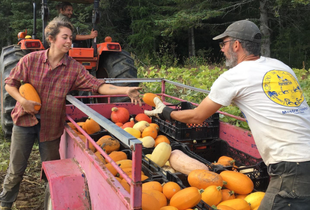 La agroalimentación en Canadá: PIB y empleos. Agri-food in Canada: GDP and jobs. Agroalimentaire au Canada : PIB et emplois. Agroalimentaire au Canada : PIB et emplois.