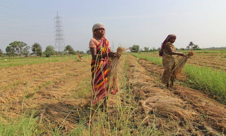 Food insecurity: poverty and inequality