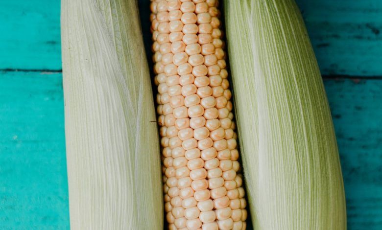 Los 5 principales productos agroalimentarios exportados por Argentina. The 5 main agri-food products exported by Argentina. Les 5 principaux produits agroalimentaires exportés par l'Argentine. Os 5 principais produtos agroalimentares exportados pela Argentina.