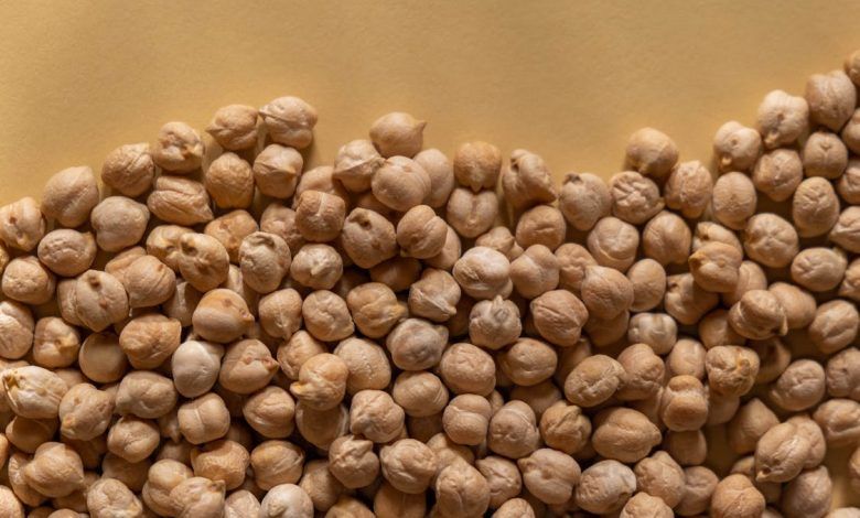 Los 5 principales exportadores de garbanzos del mundo. The 5 main chickpea exporters in the world. Les 5 principaux exportateurs de pois chiches au monde. Os 5 principais exportadores de grão de bico do mundo.