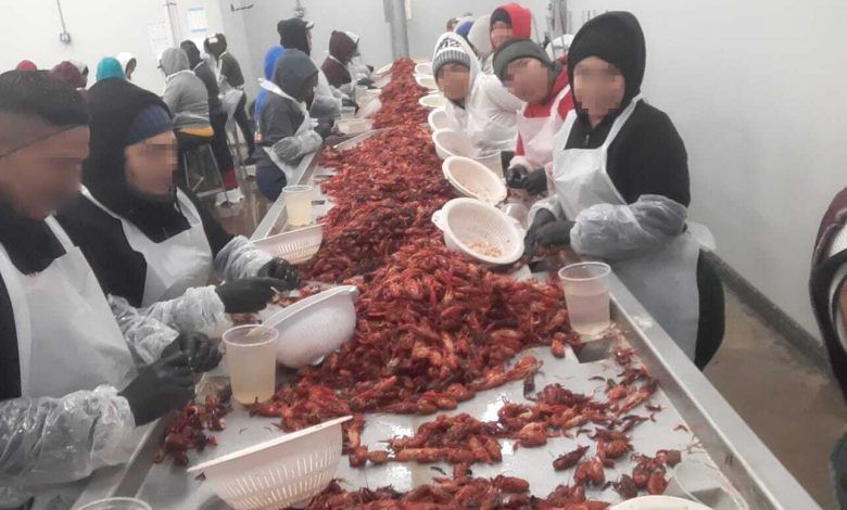 Trabalhadores migrantes mexicanos contra o processo de concessão de vistos nos EUA