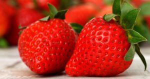 Top strawberry exporters: Mexico displaces Spain from the lead