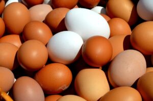 Principais exportadores de ovos para os Estados Unidos