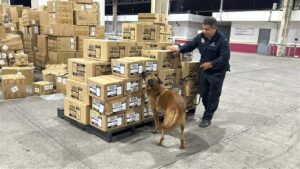Mexico issues 887 seizure orders in customs inspections