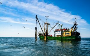 WTO implements agreement on prohibited fishing subsidies