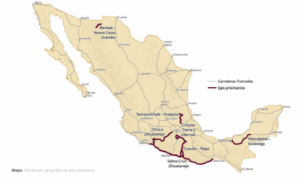 The Cuautla-Tlapa highway axis and poverty in Mexico