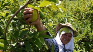 Conlabor proposes binding labor parity indicators in the USMCA